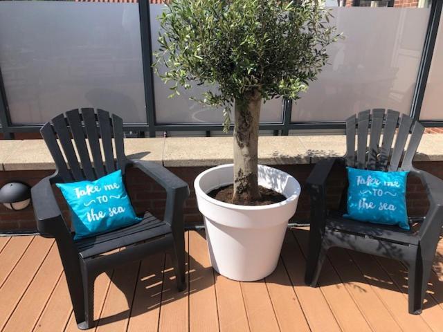 Four Seasons Zuiderstraat Apartment Egmond aan Zee